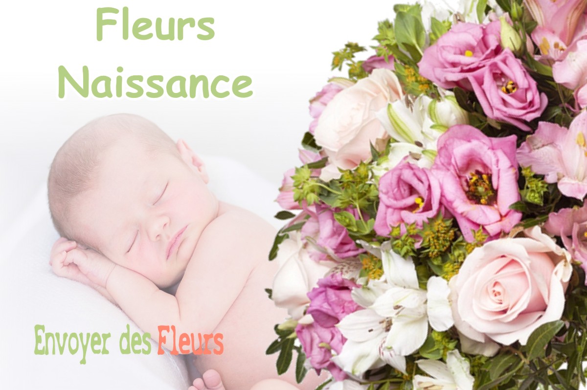 lIVRAISON FLEURS NAISSANCE à GREPIAC